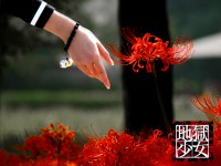 /album/fotogaleria/asdflkds-jpg/